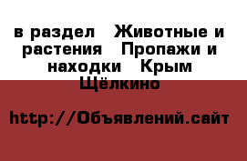  в раздел : Животные и растения » Пропажи и находки . Крым,Щёлкино